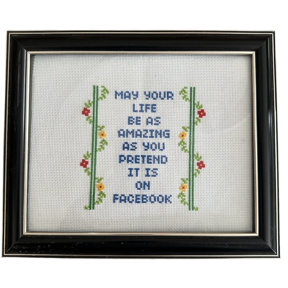 Framed 8x10 Humorous Cross Stitch Embroidery Facebook Quote